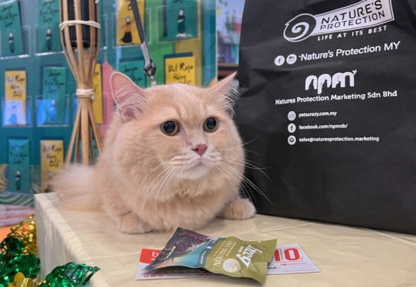 my-cat-expo-2024-malaysia