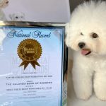 Malaysia Book of Records for Most ‘White Dogs’ Food Sold in a year!